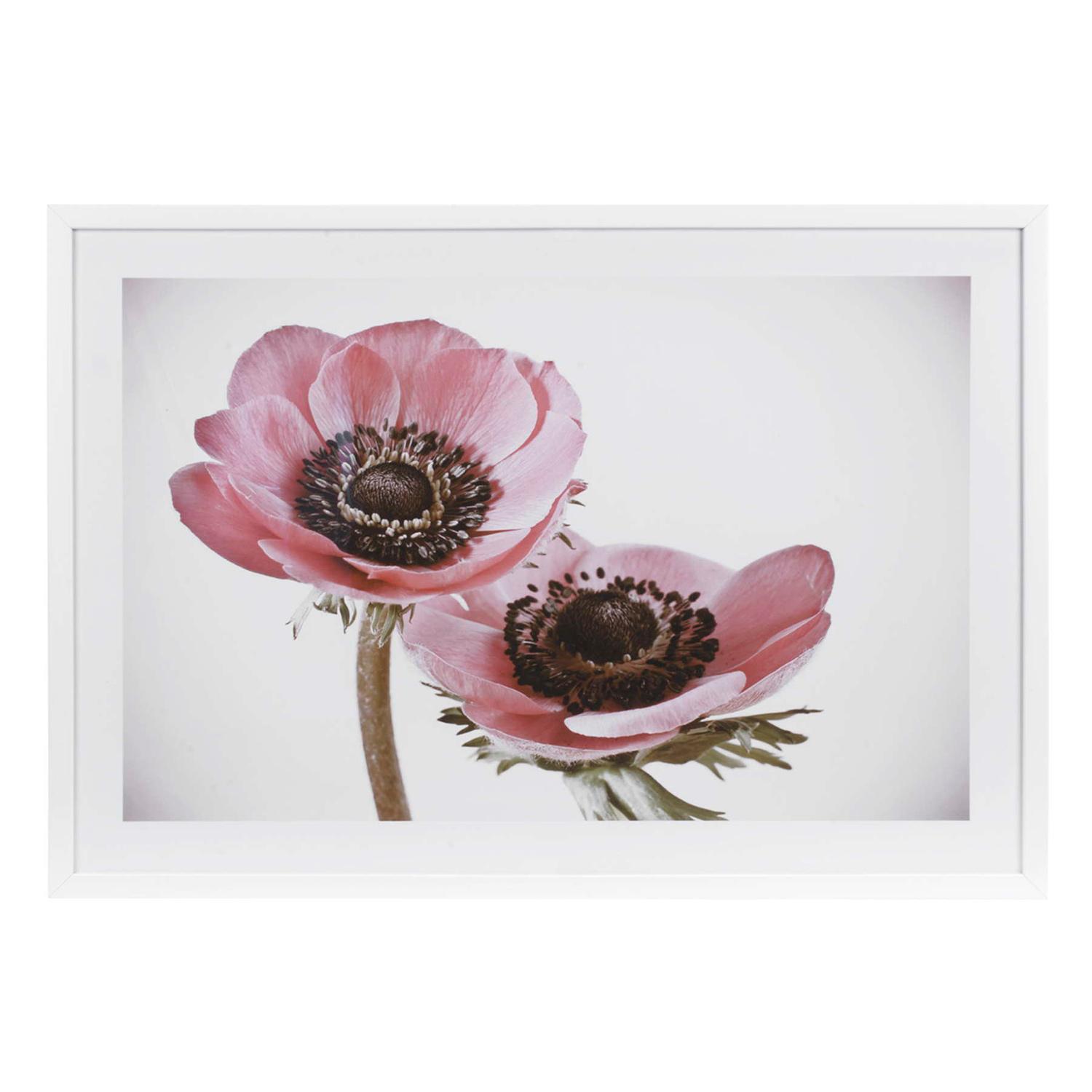 25" x 17.5" Pink Poppies Framed Wall Art