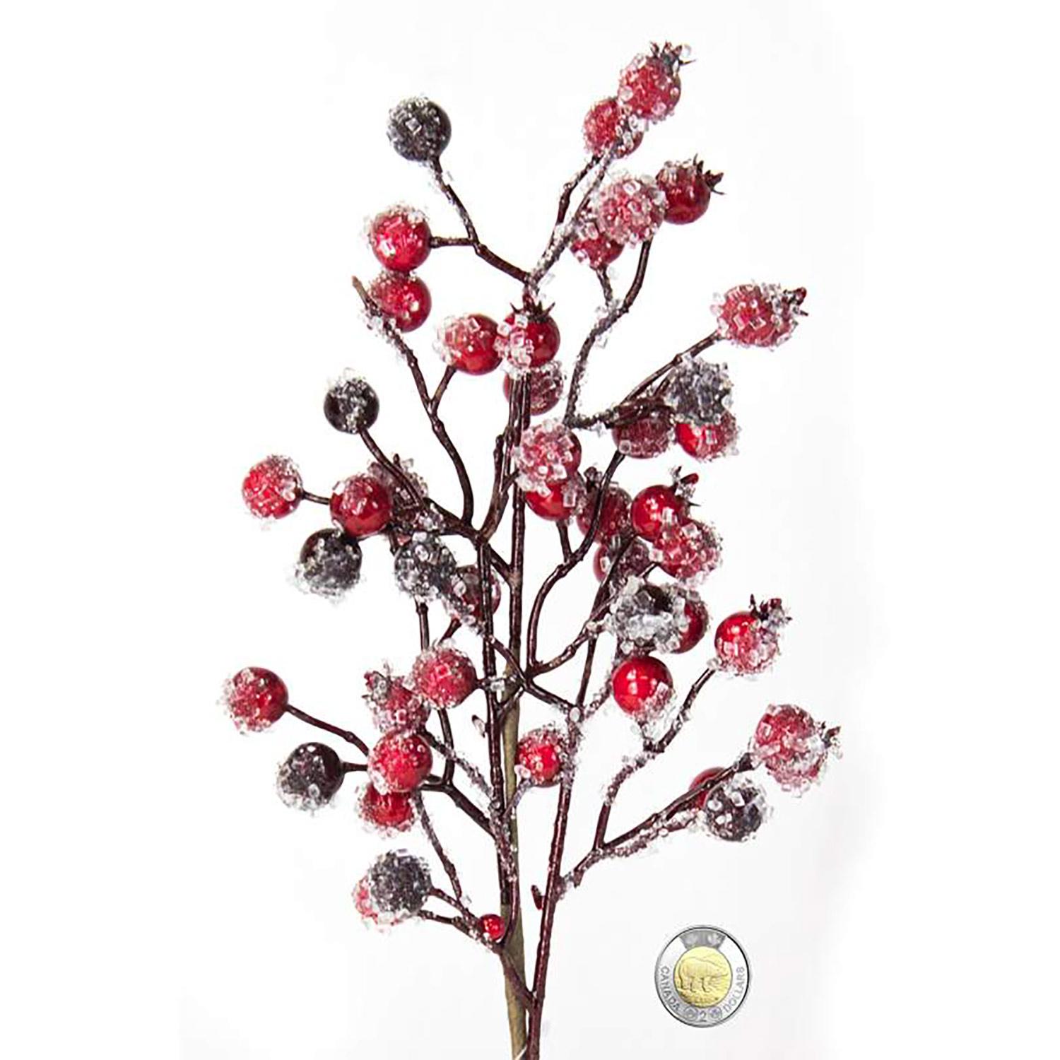 Red Berry Branch Frosted 20"