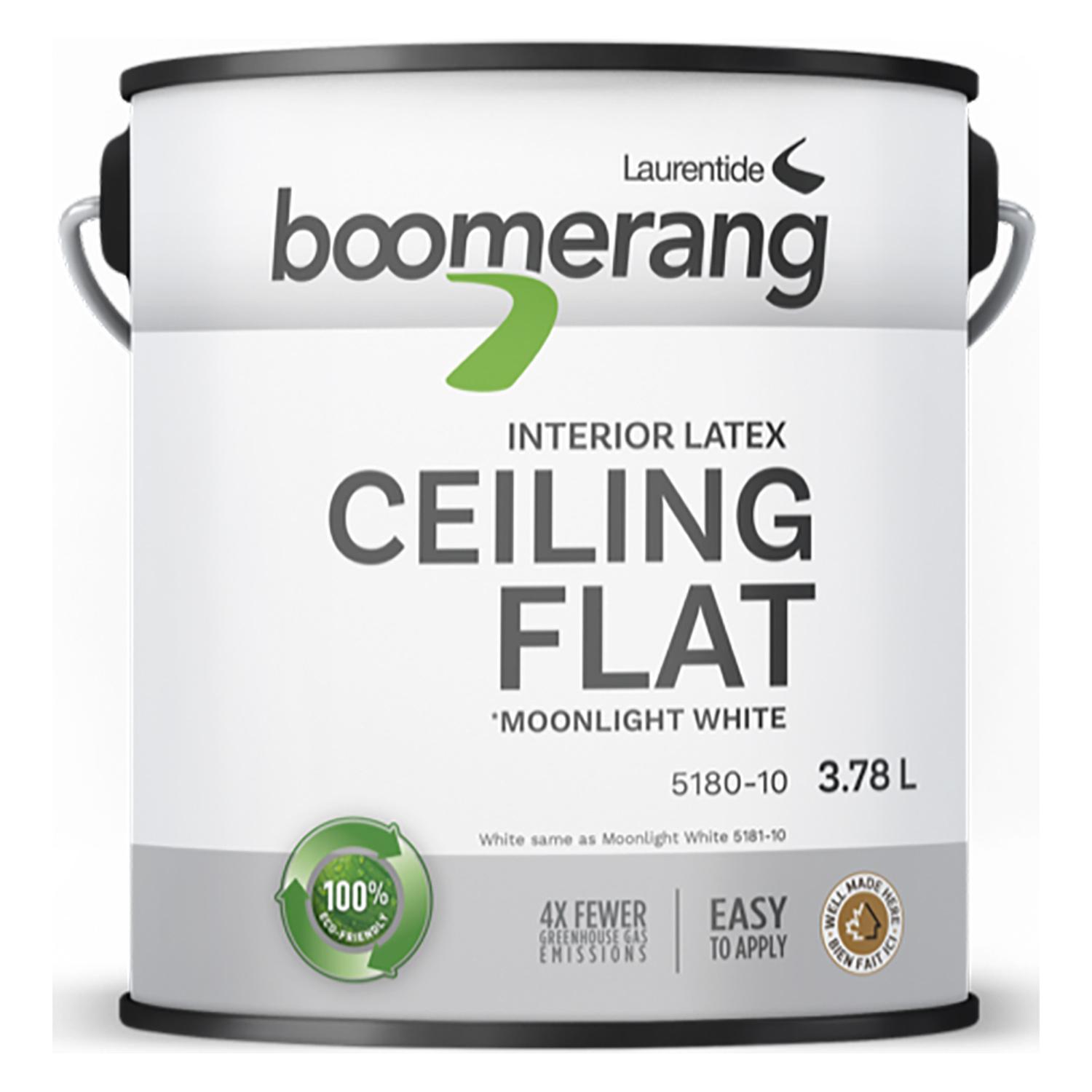 Peinture de plafond recyclée Boomerang 3,78 l