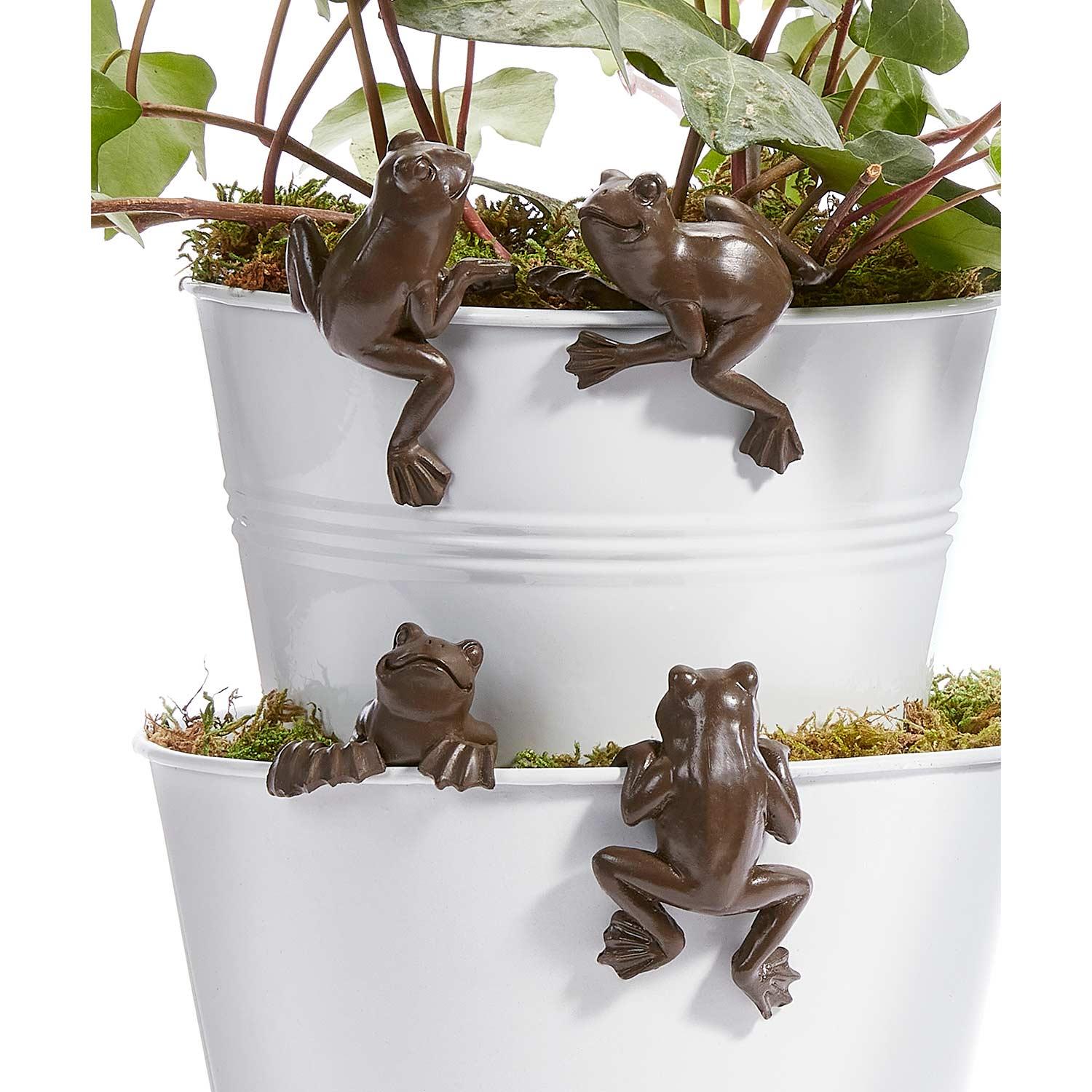 Grenouilles enveloppantes pour pot, assorties