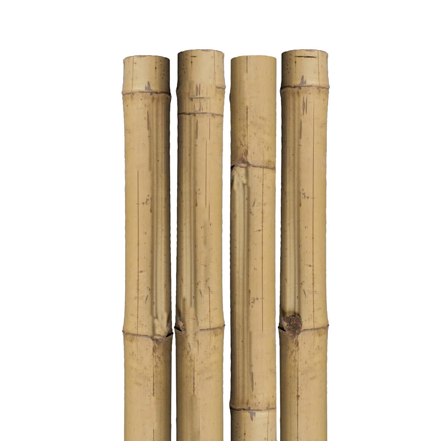 6' Natural Bamboo Stake