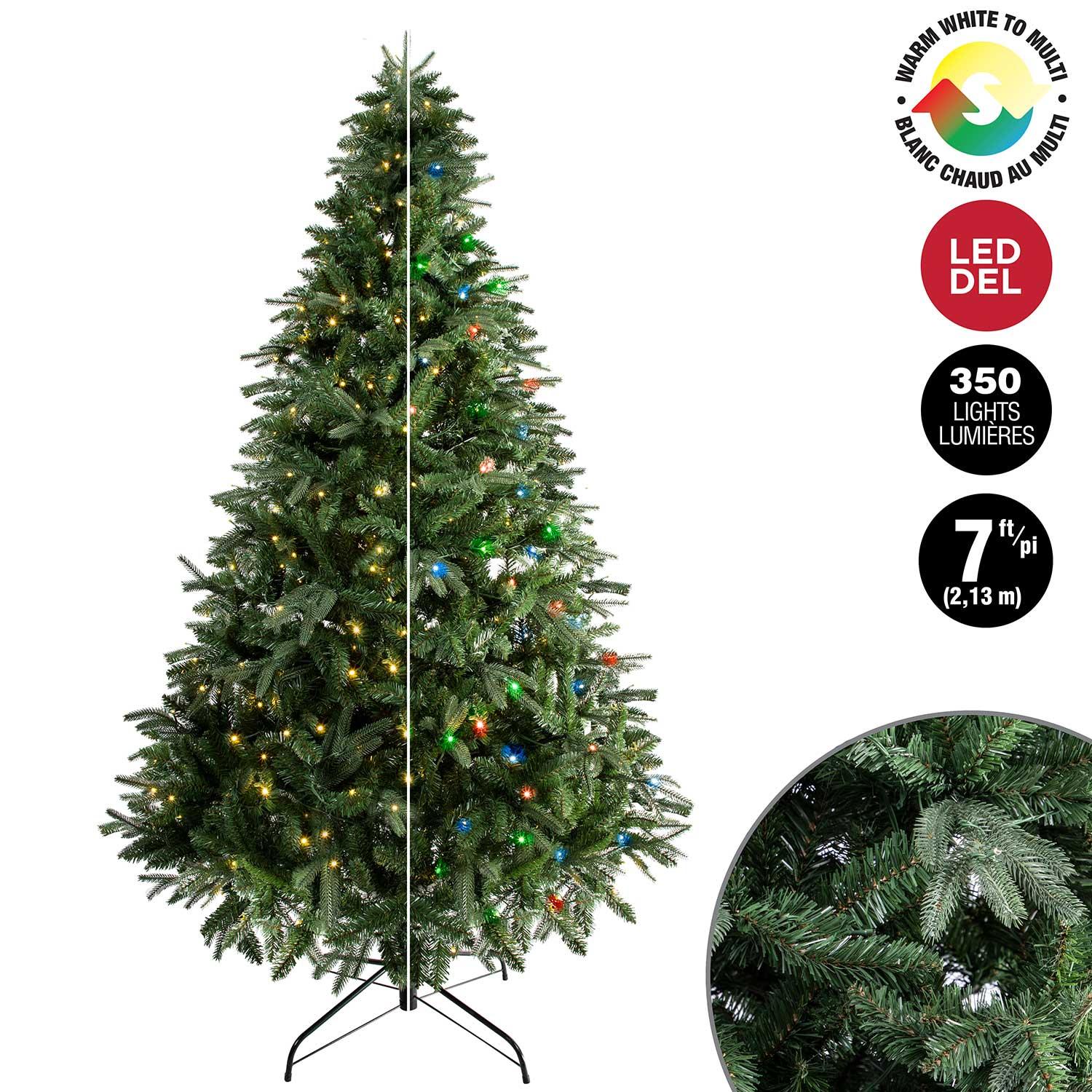 Noble Pine with 350 Dual Colour LEDs 7'