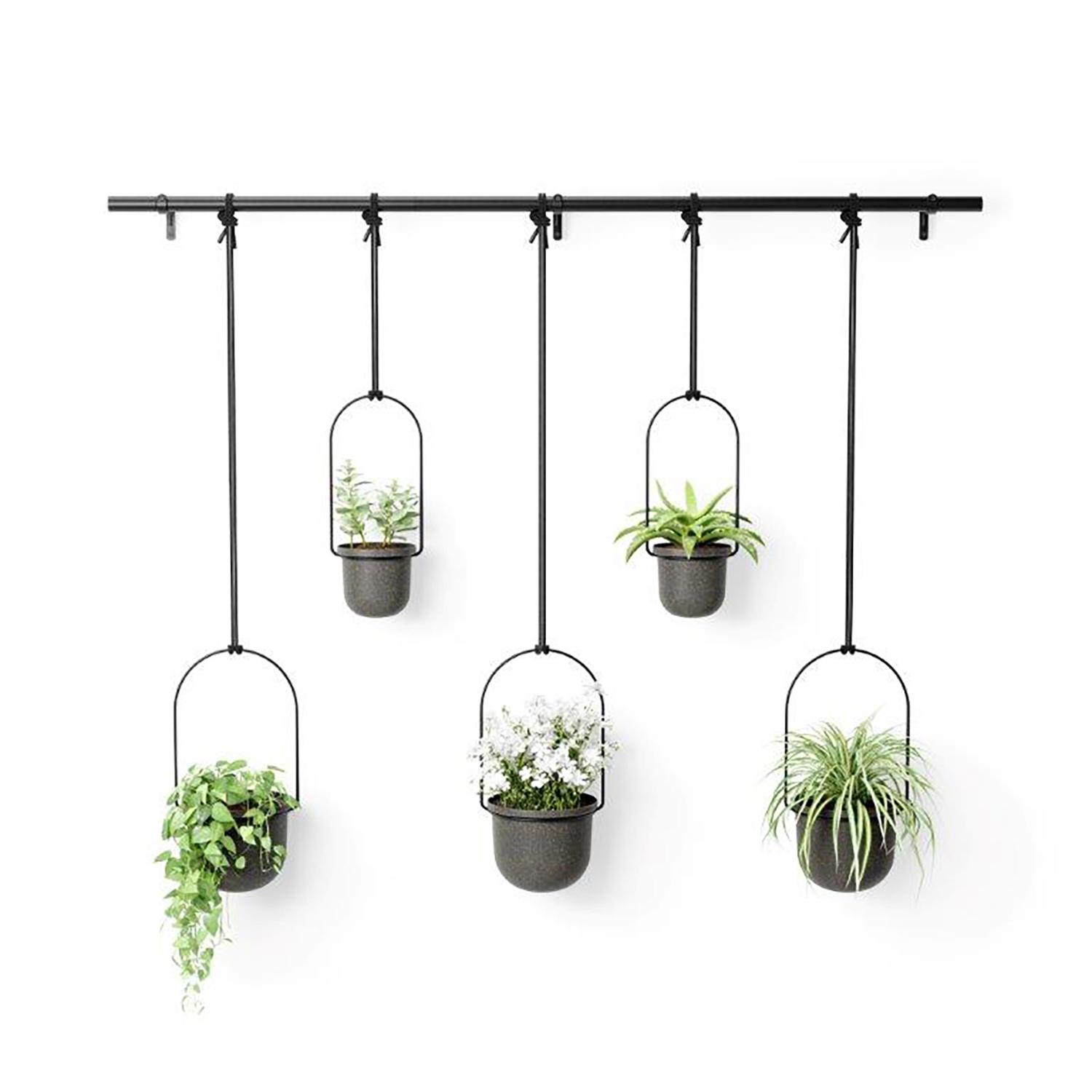 Jardinière suspendue noire Triflora 5