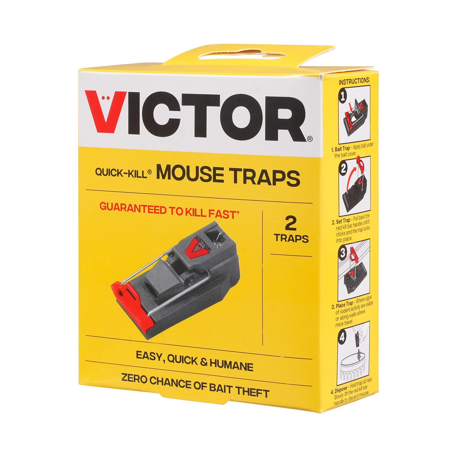 Quick Kill Mouse Trap