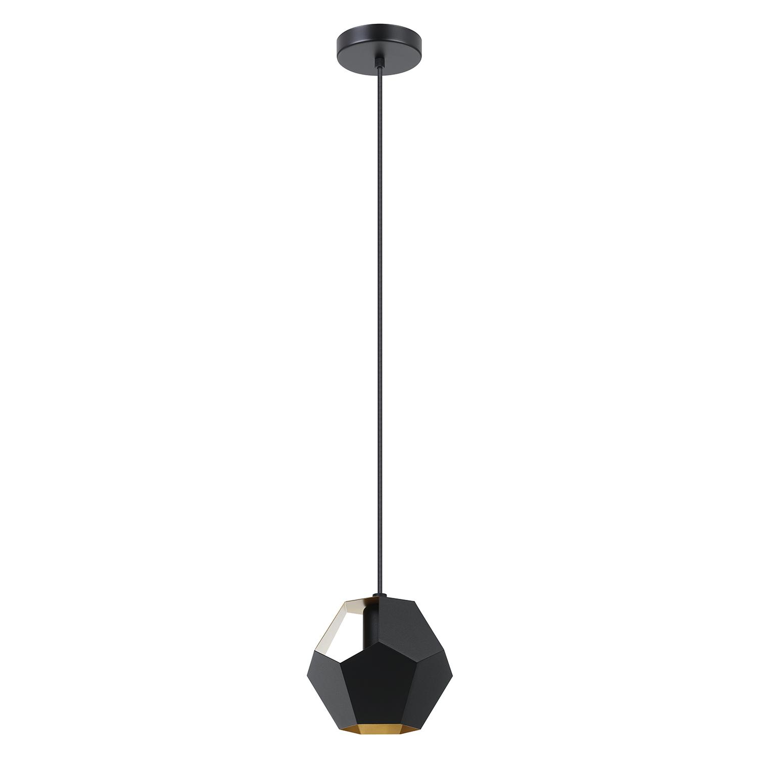 Rasigures Pendant Light 1L, Black and Gold Finish
