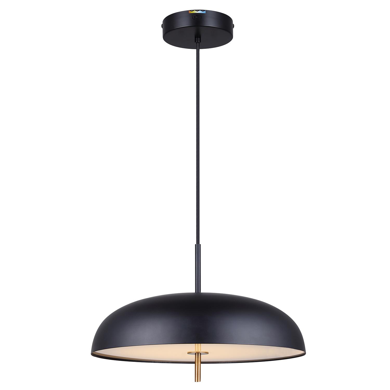 KELVIN Matte Black and Gold Pendant Light