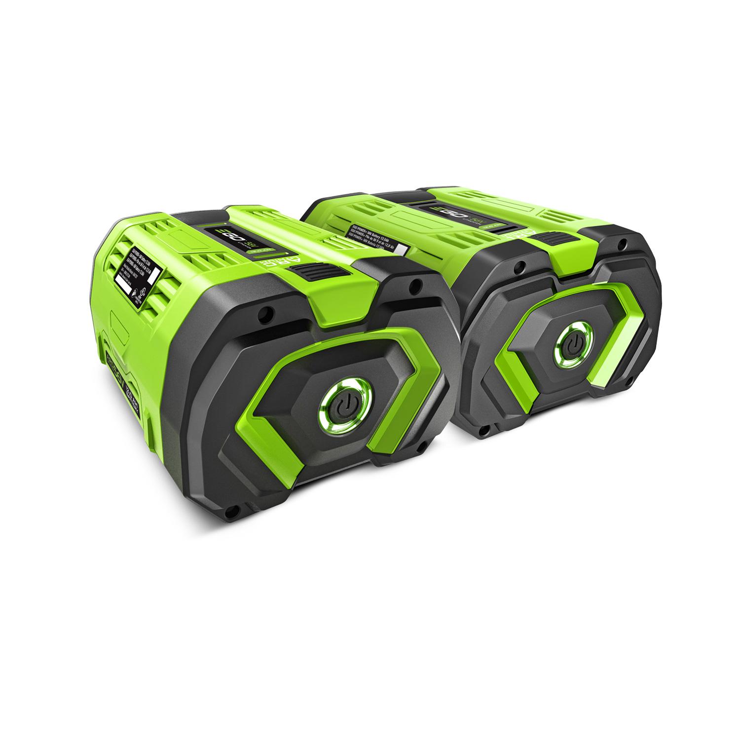 POWER+ 2 x 12.0 Amp Hour Battery Pack