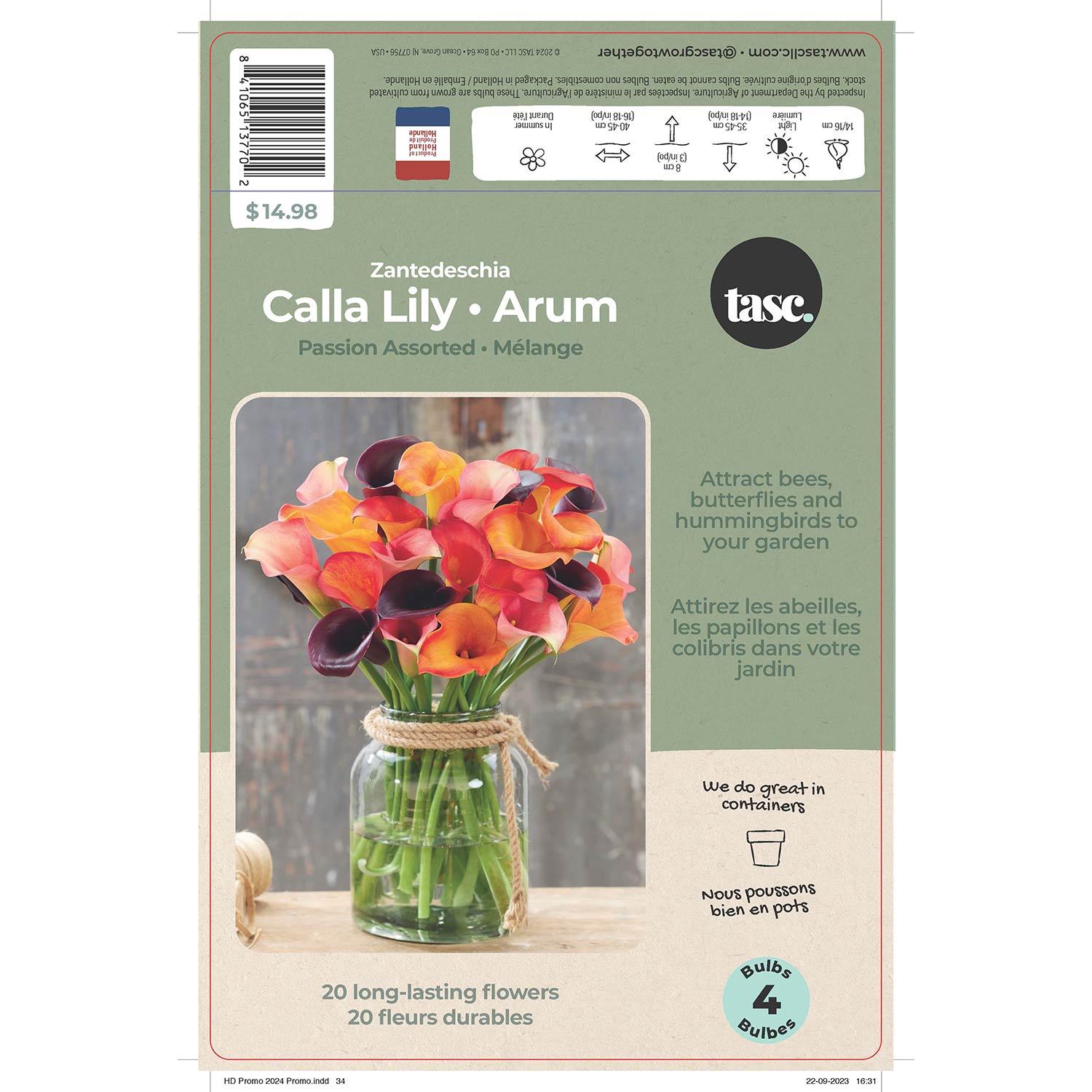 Calla Lily Passion assortis