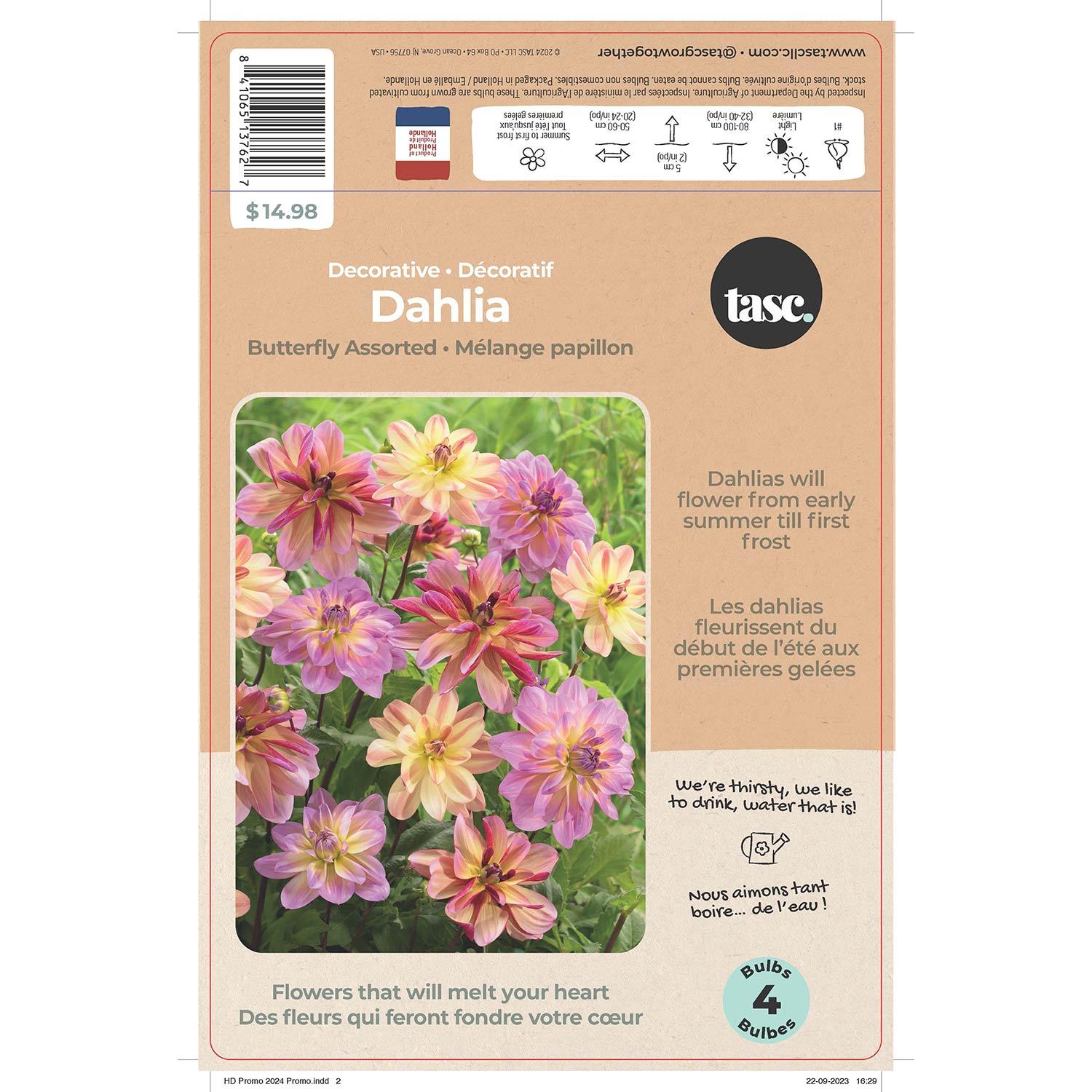 Mélange décoratif de dahlias papillon