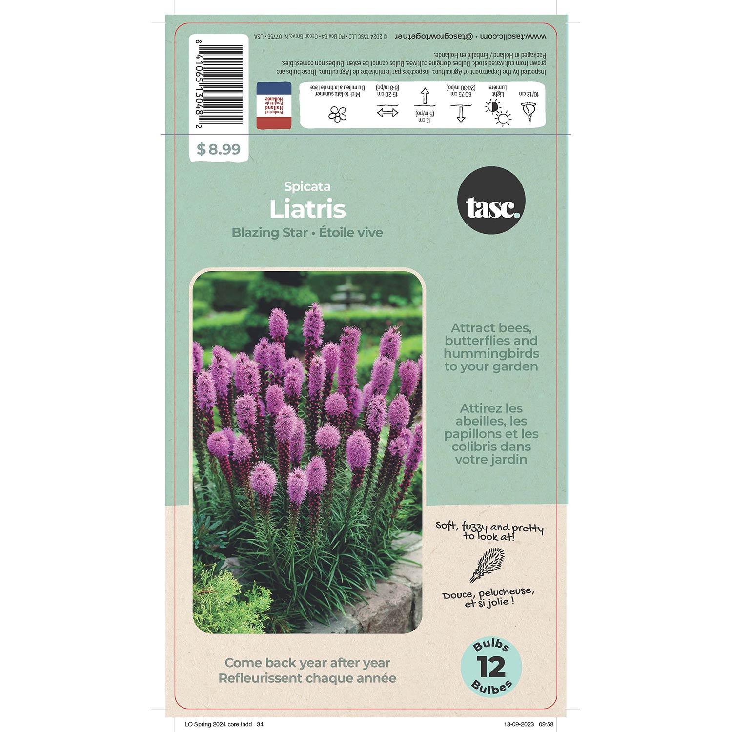 Liatris Spicata Violet