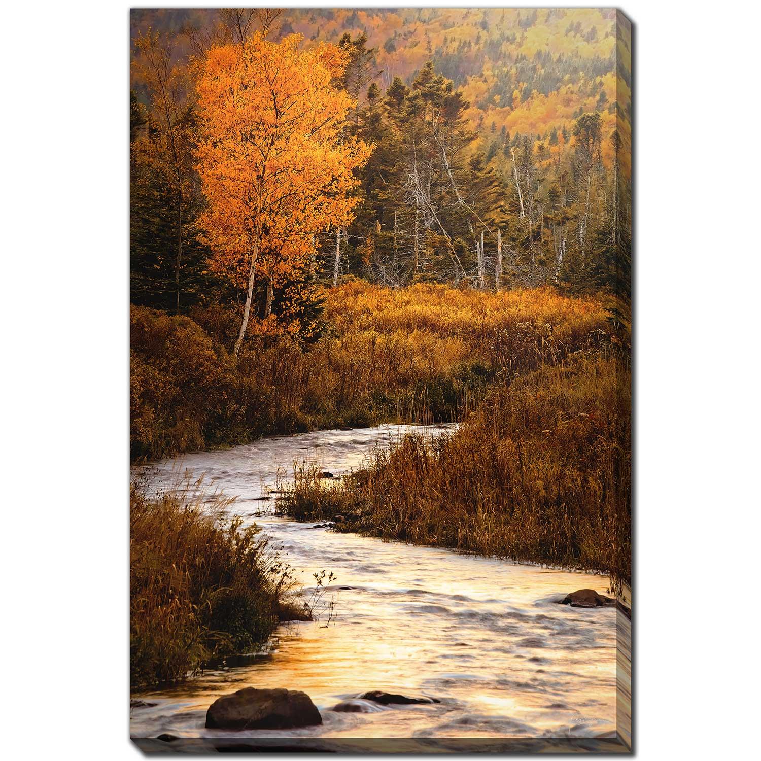Birch River Hillside Colour 38x60
