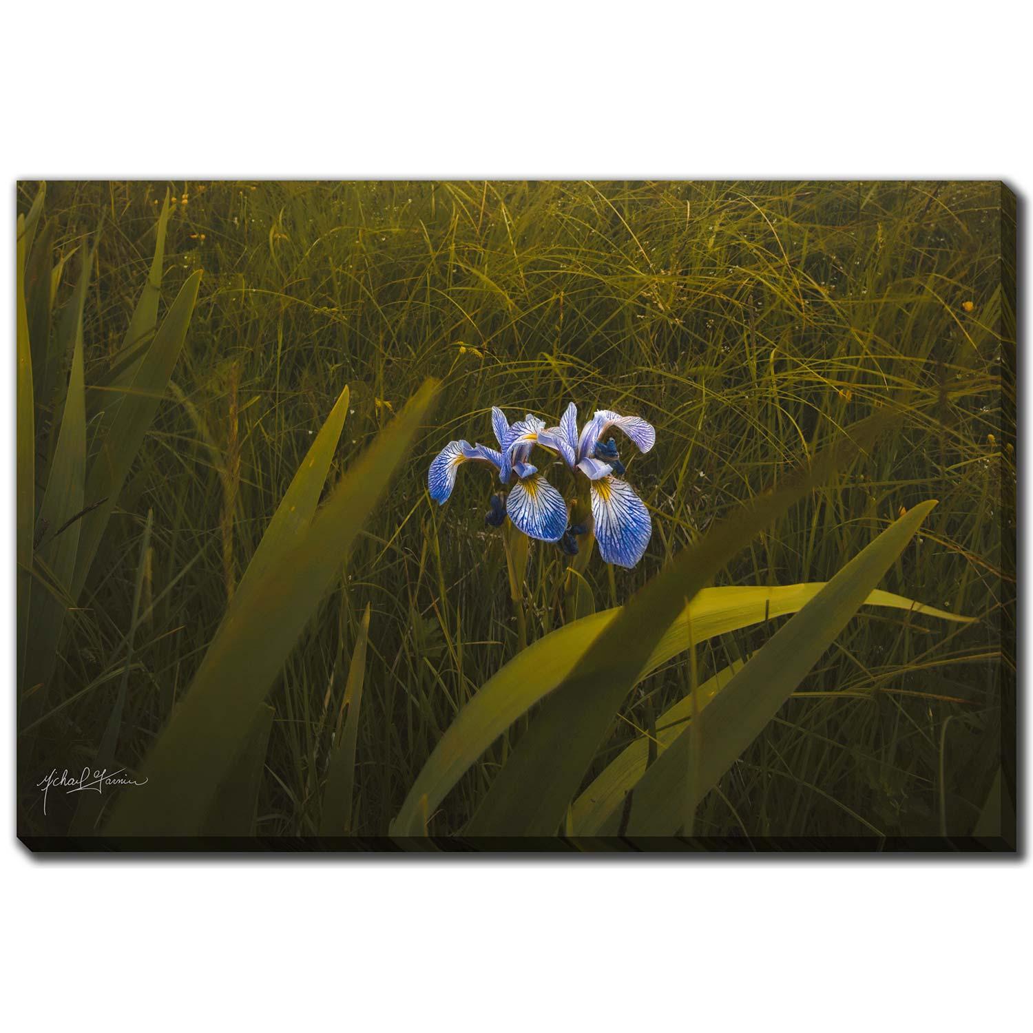 Two Flowers Old House 22x28
