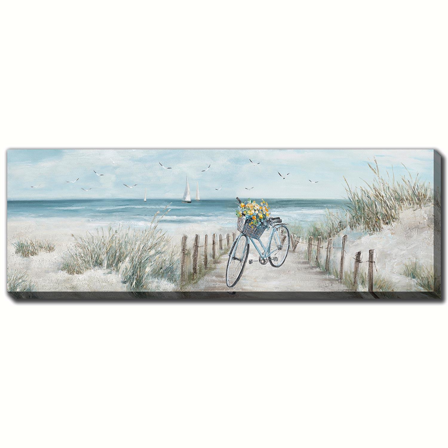 Beach Bike 20x60