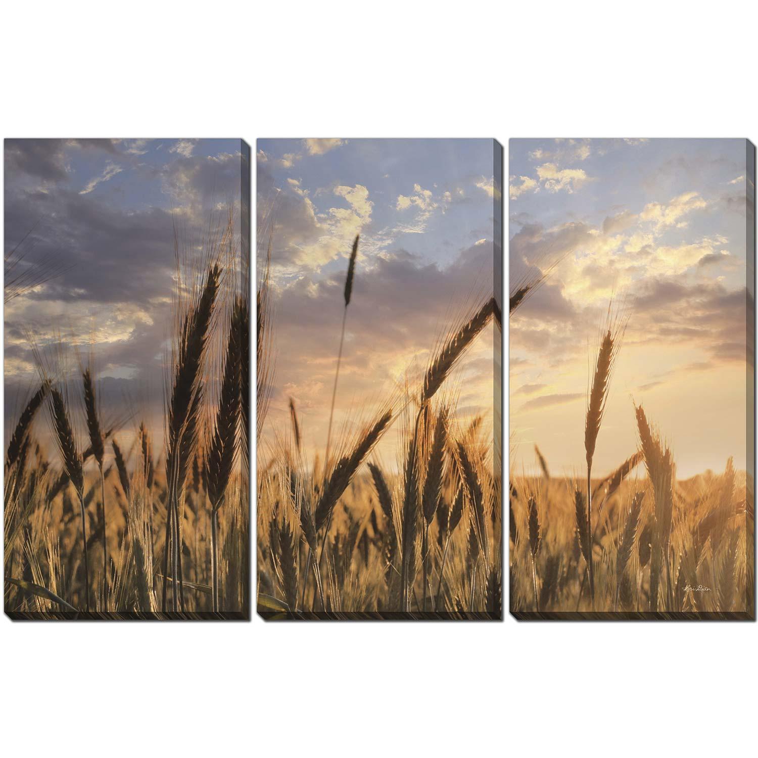 Summer Fieldset of 3 30x45
