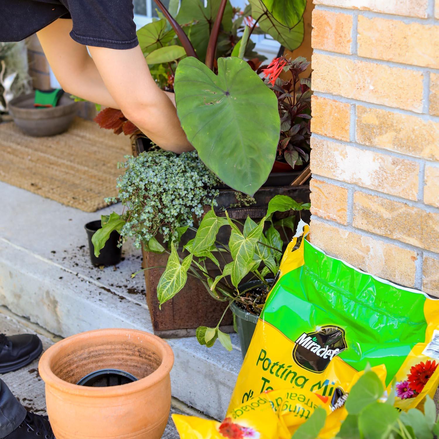 Terreau Miracle-Gro Moisture Control 25L
