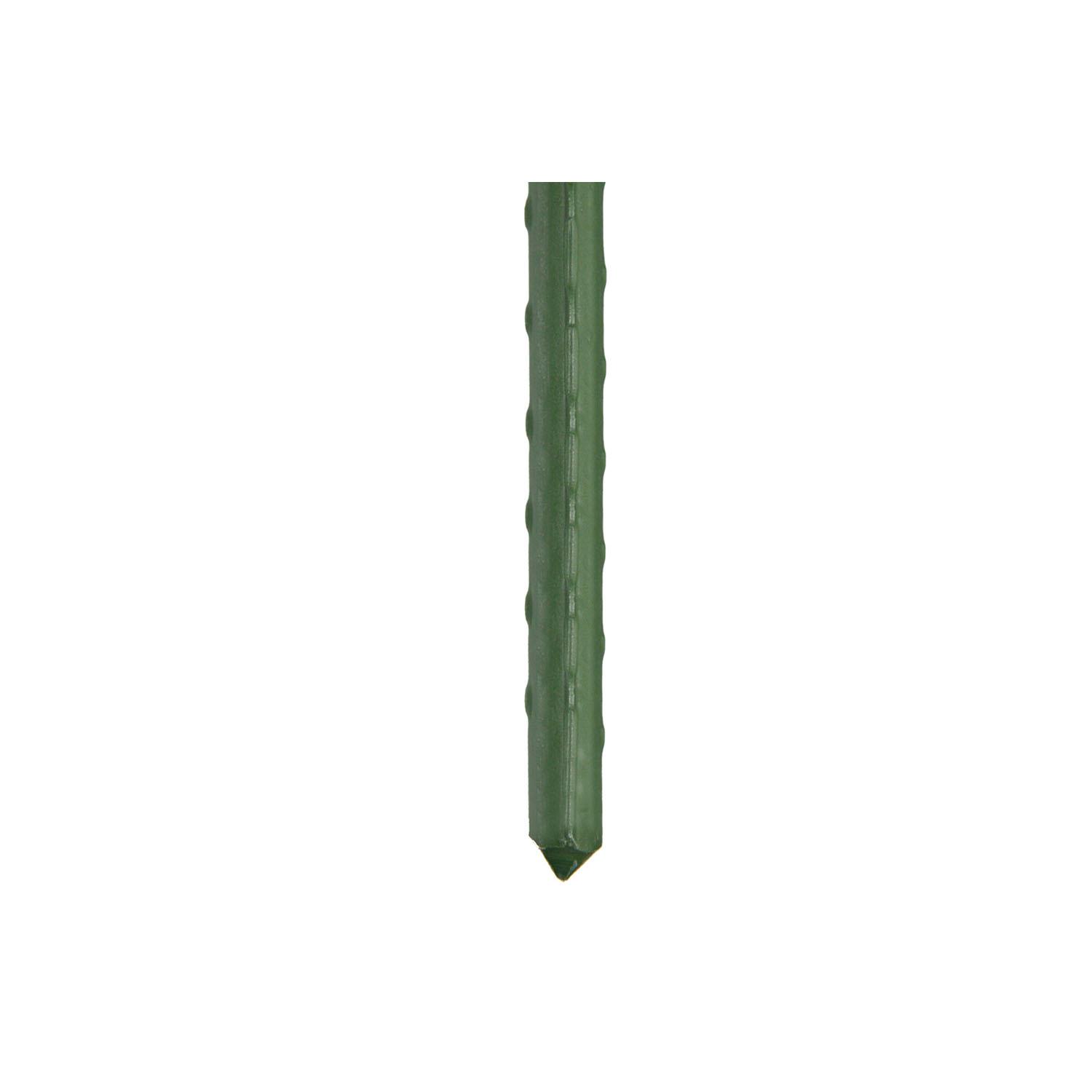 4' Plastic Coated Metal Plant Stake