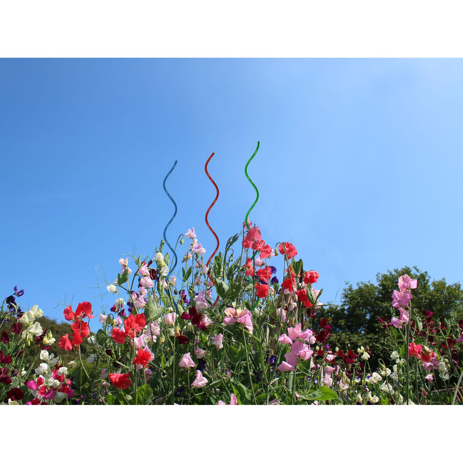 Support Plante 24"