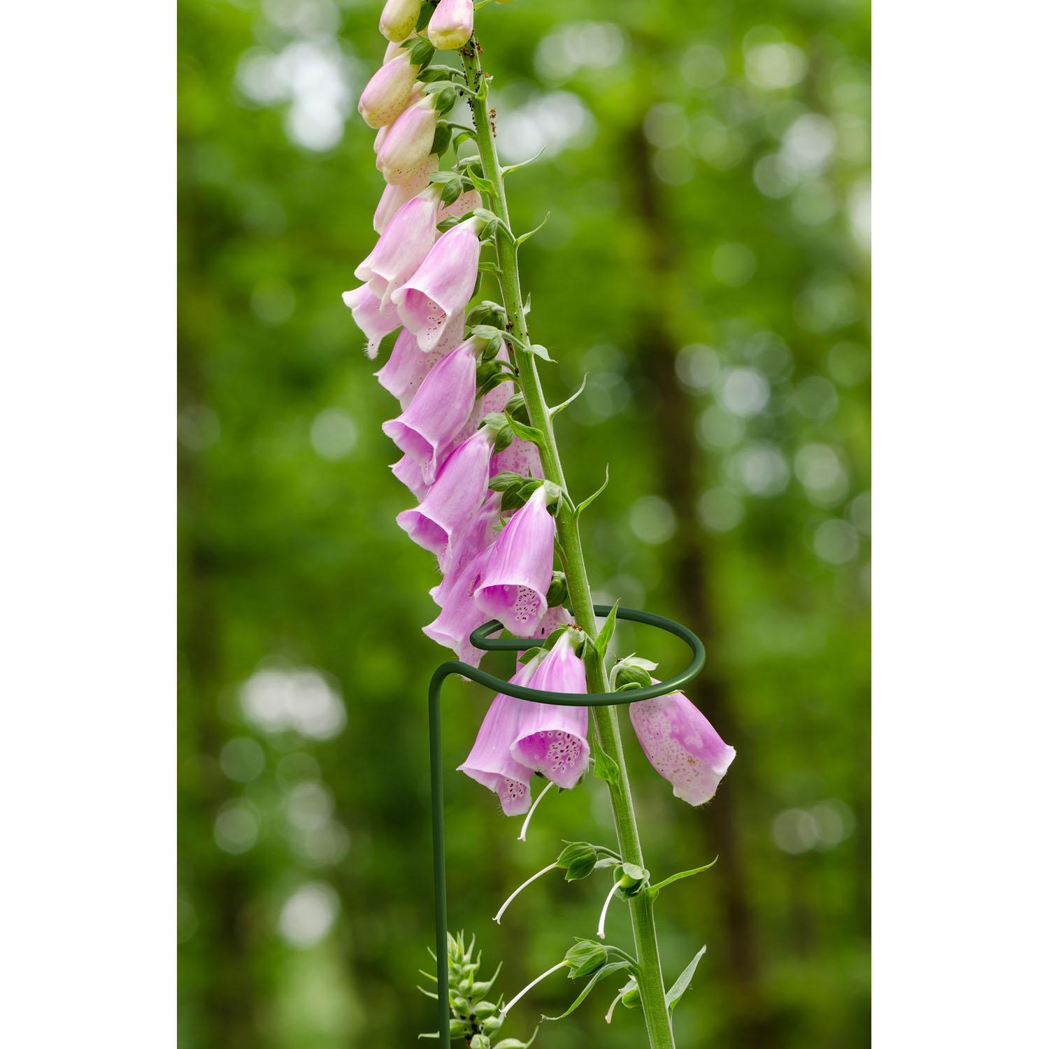 Support de plante 48"