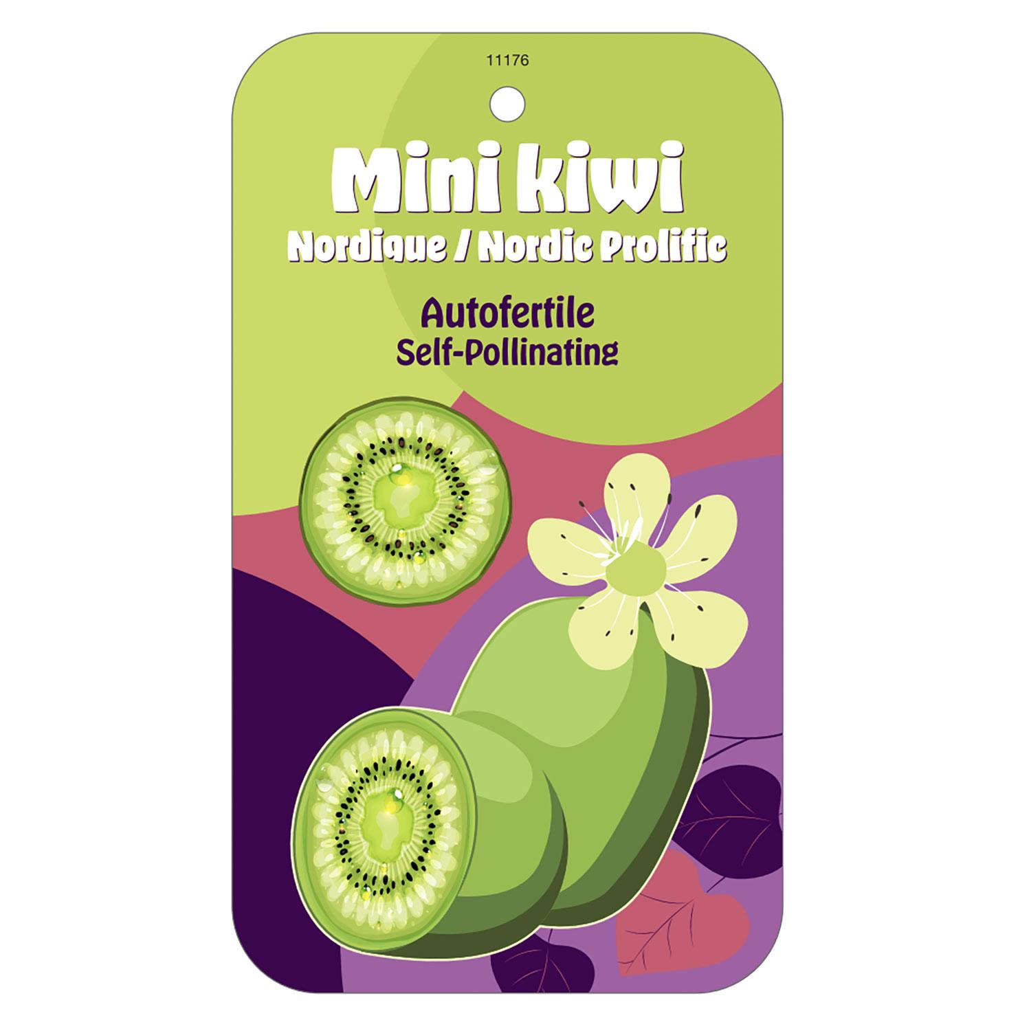 Specialty Perennial 1G
