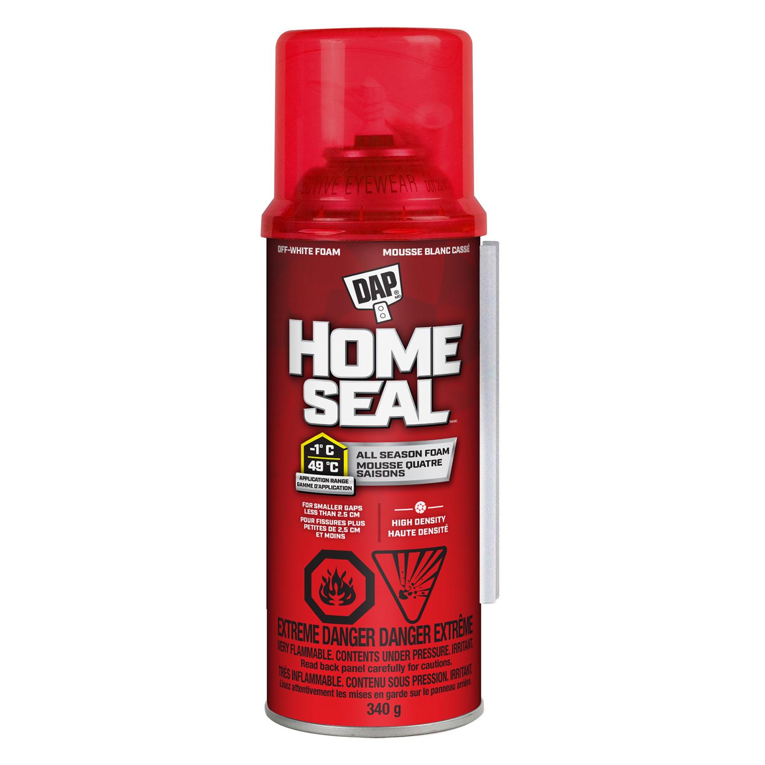 Scellant expansif minimum DAP Home Seal 12oz
