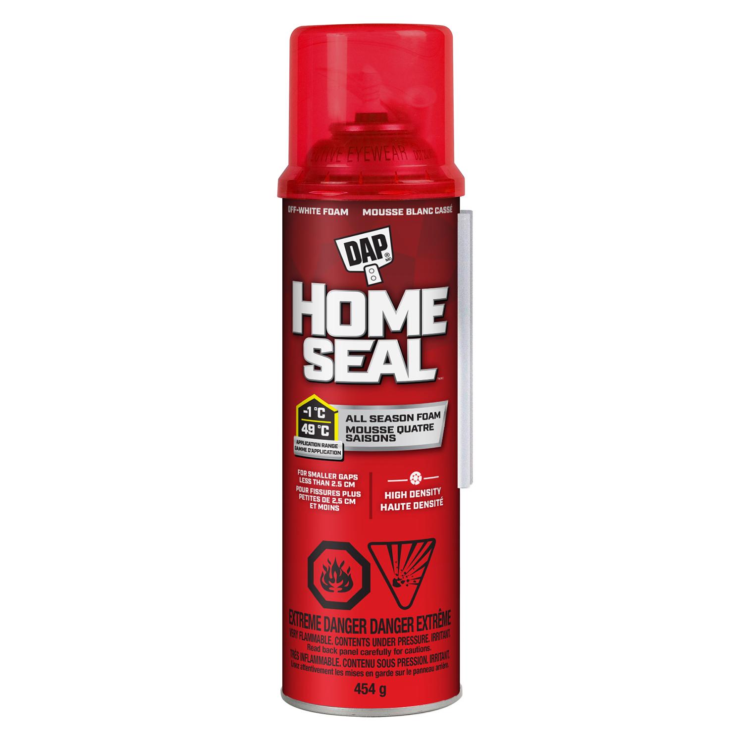 Scellant Expansif Minimum DAP Home Seal 16oz
