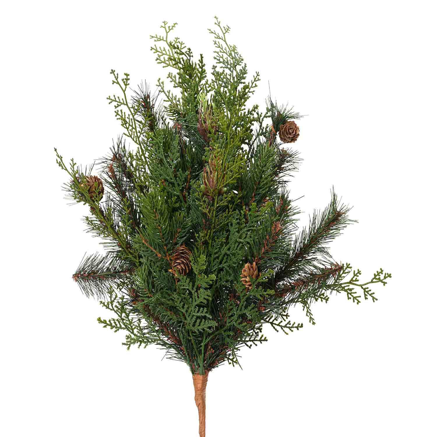 Branche de Cyprès 19"