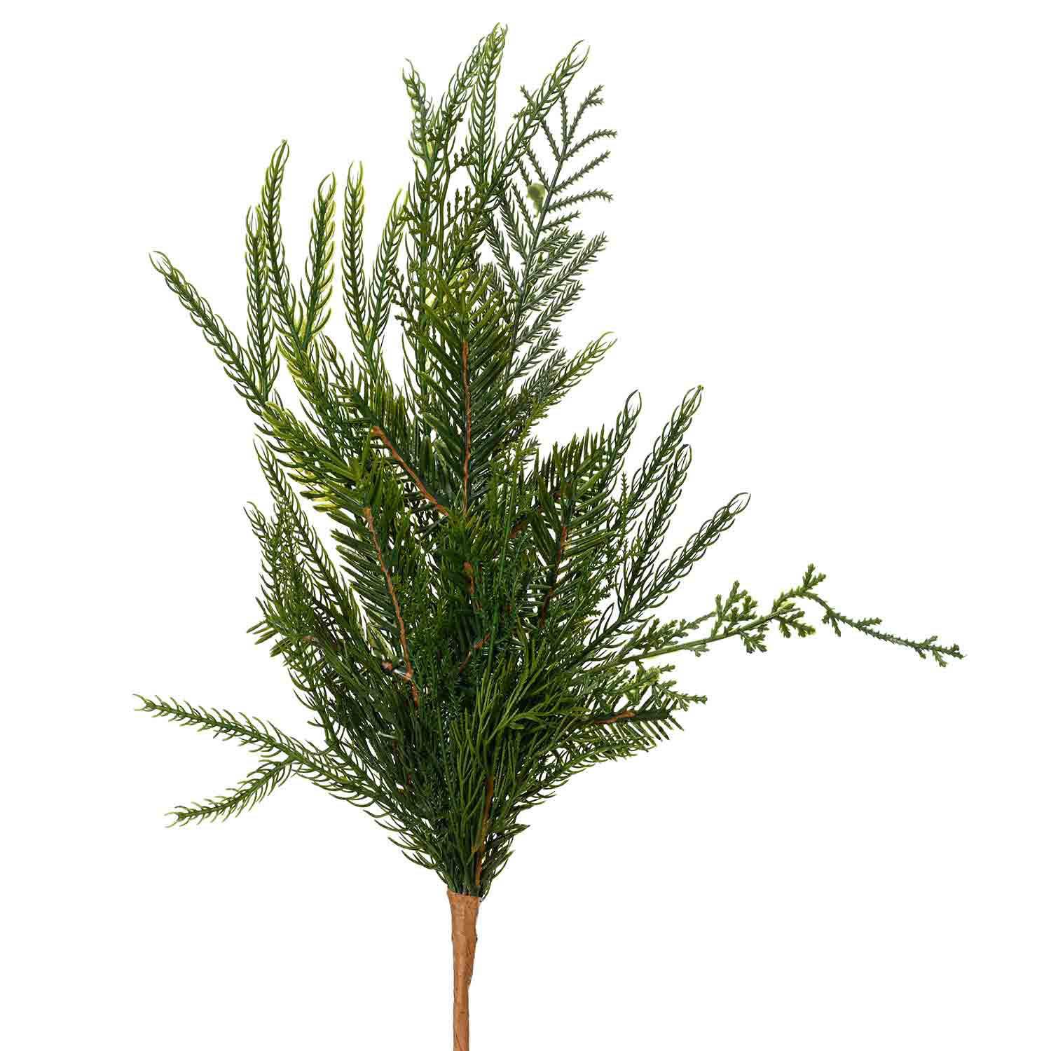 Juniper Branch 19"