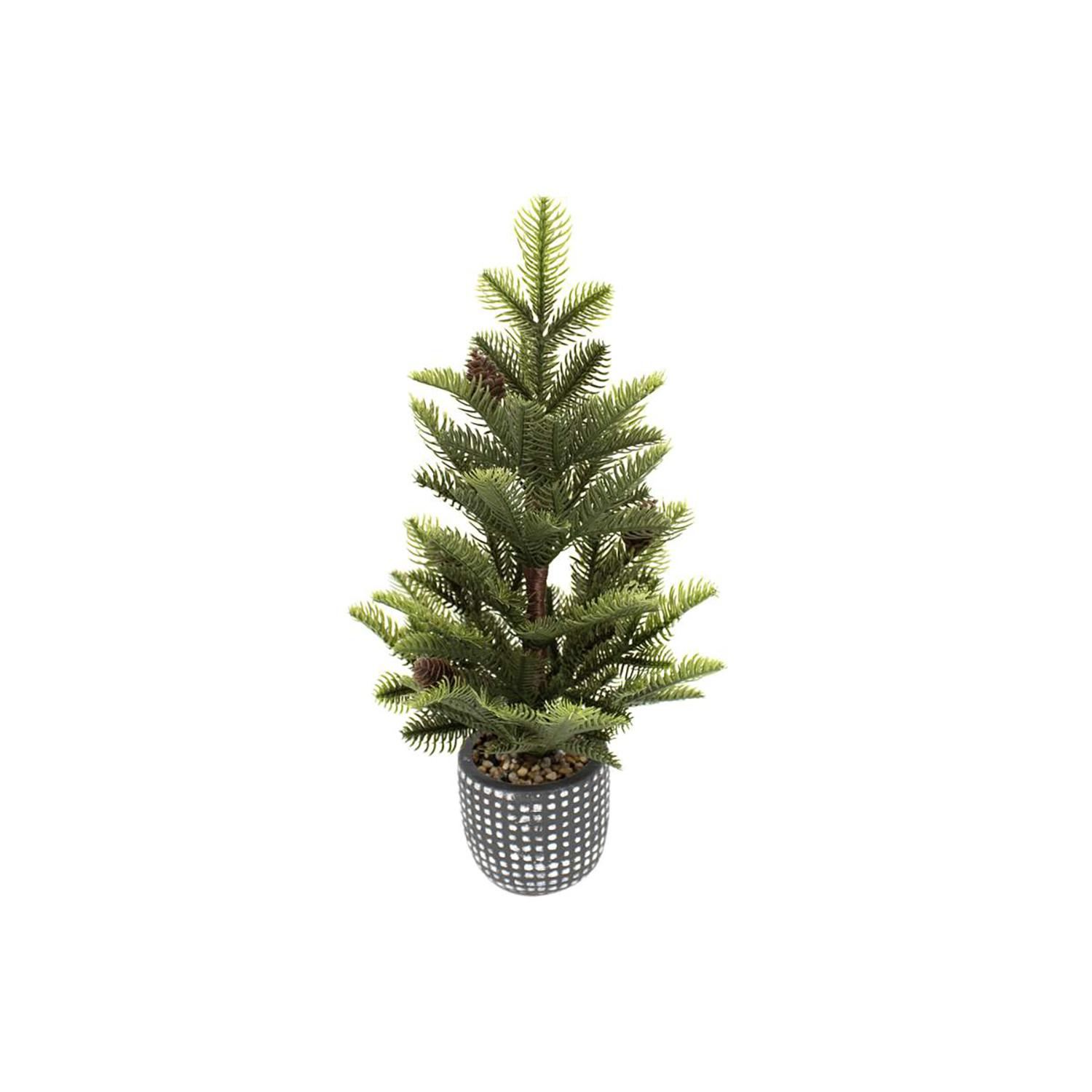 Mini Tree in Pot 19"