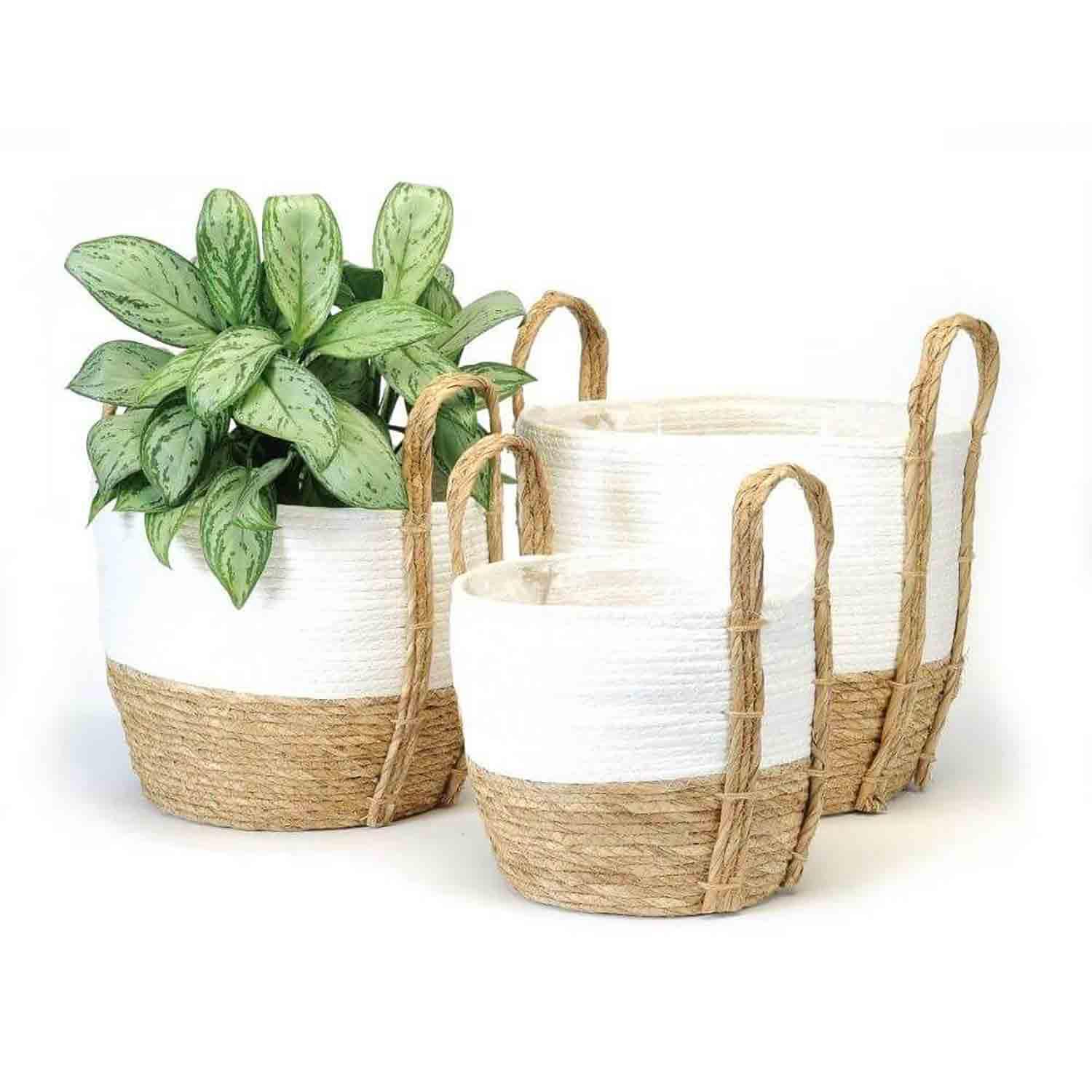 Ensemble de pots tissés blanc et naturel 3 pièces
