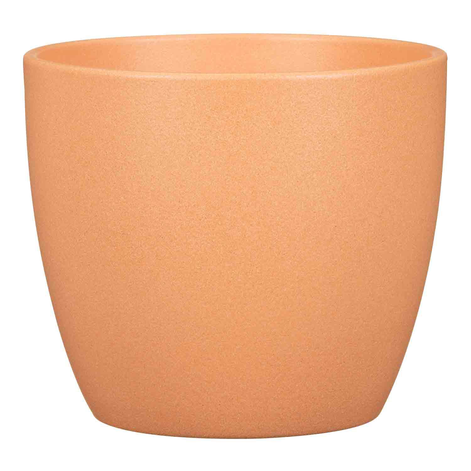 Pot Rosata Ceramic 6.5"