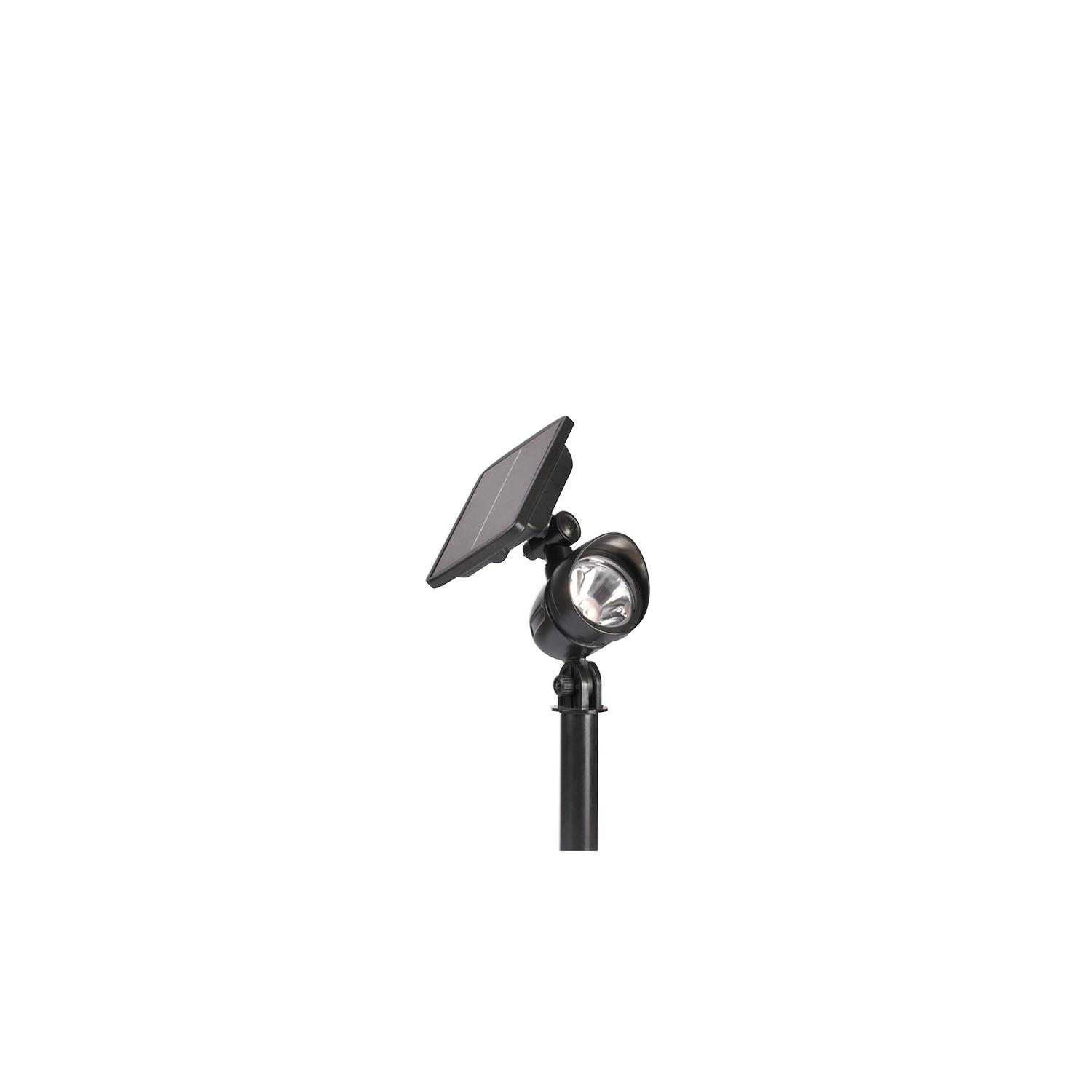 Projecteur Solaire Noir 100 Lumens