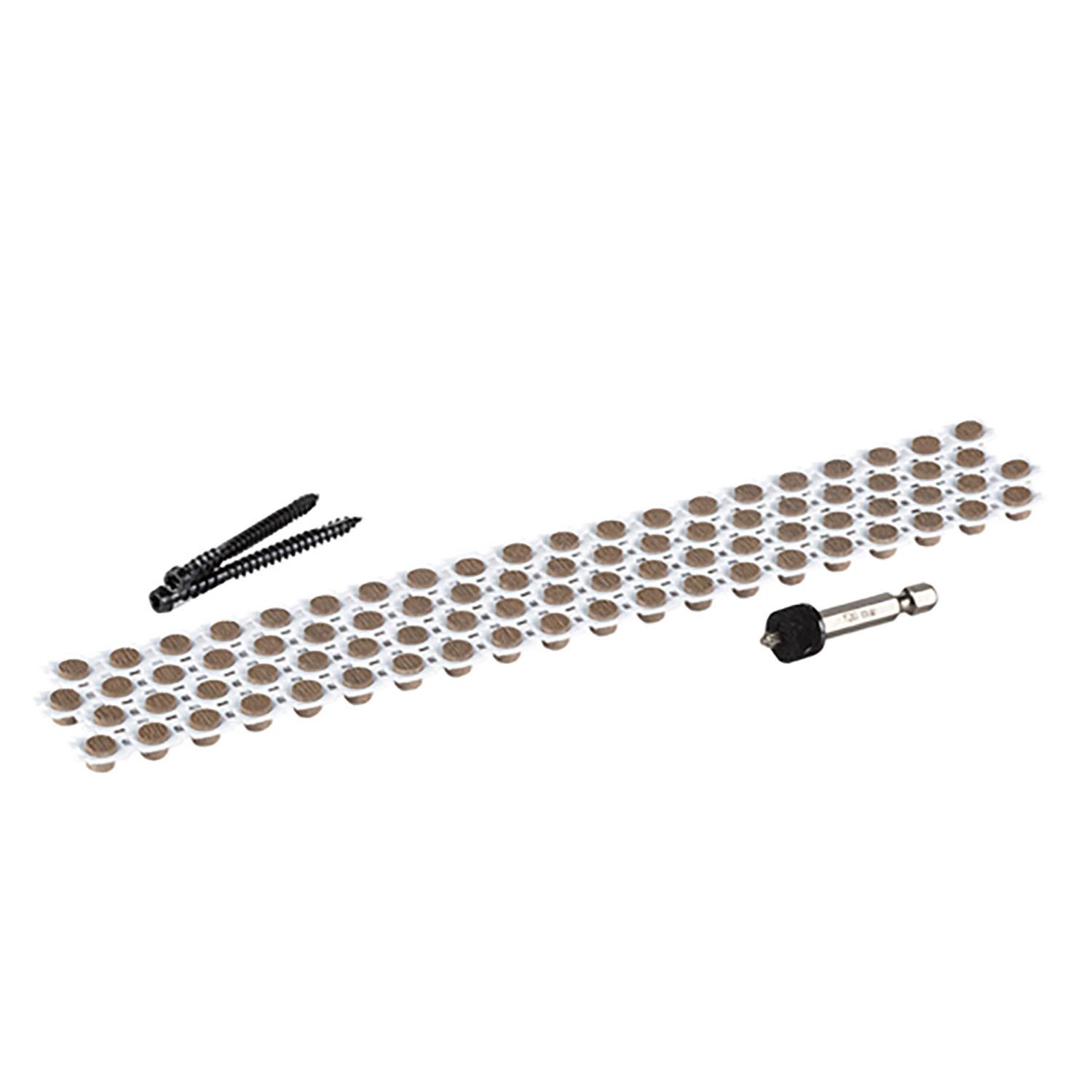 Fixations Carbon Cortex 100 pi²