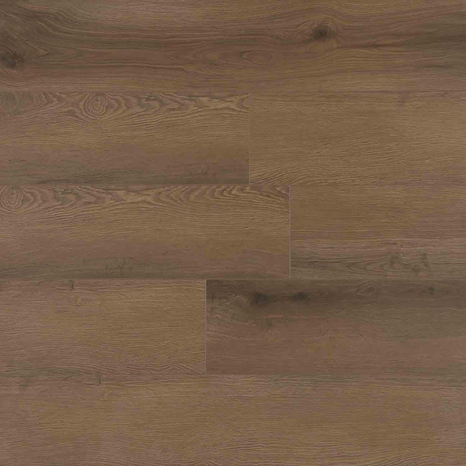 12mm Masterpiece Portraits Laminate 15.55 SF/BX