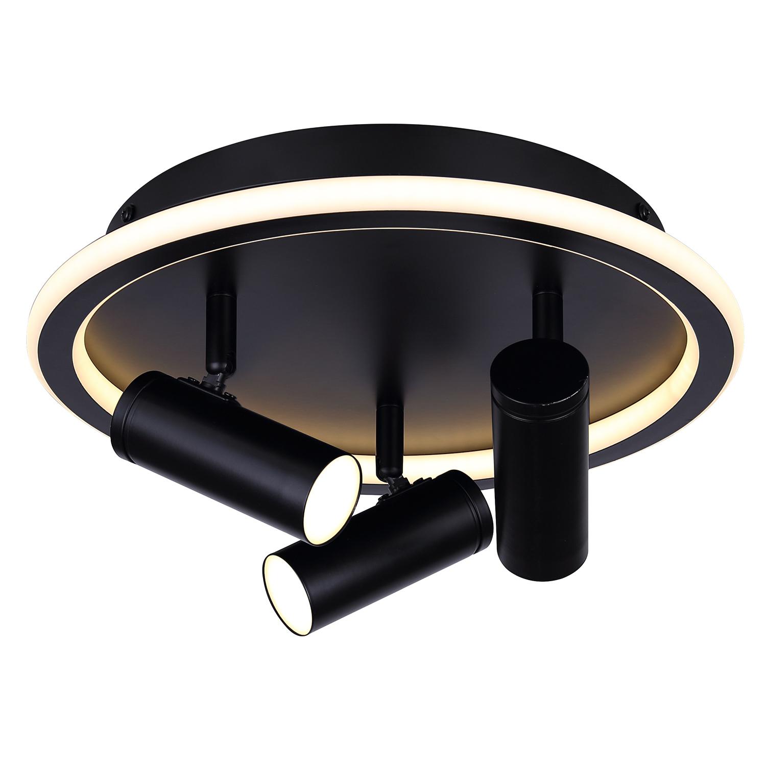 Denver 3-Light Track Fixture
