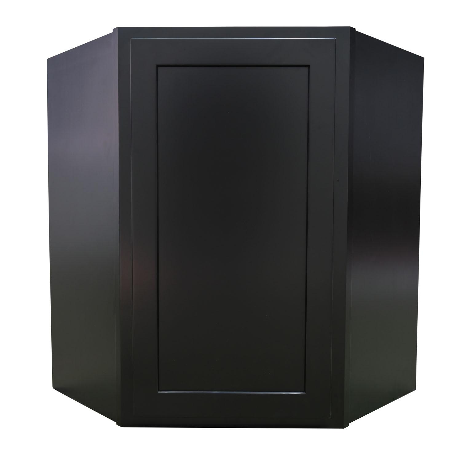 Armoire Murale Noire 24"
