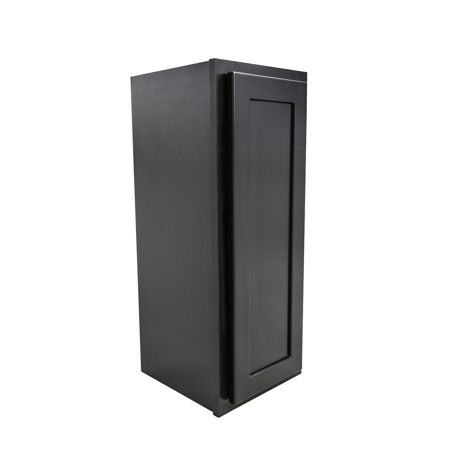 Armoire Murale Noire 15" x 30"