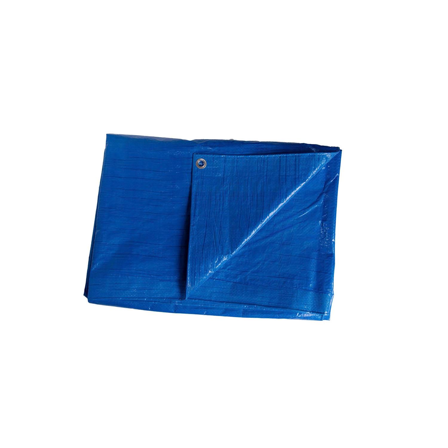 10' x 12' Blue Economy Tarp