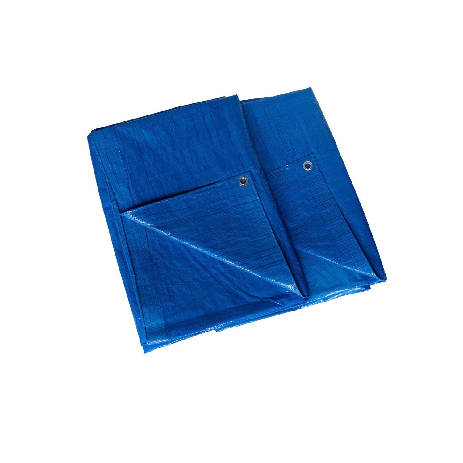 10' x 12' Twin Pack Blue Light Duty Tarp