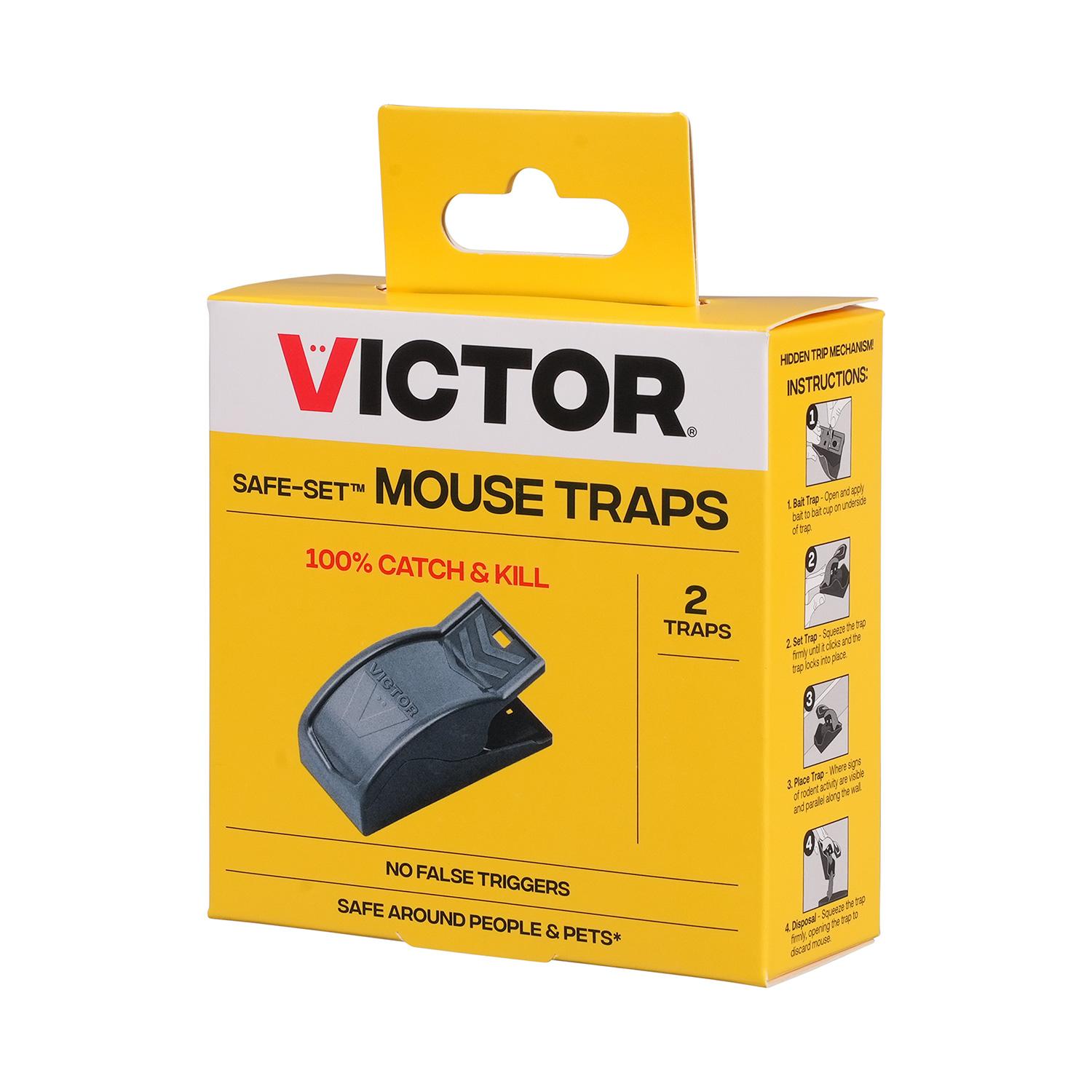 Safe Set Mouse Trap