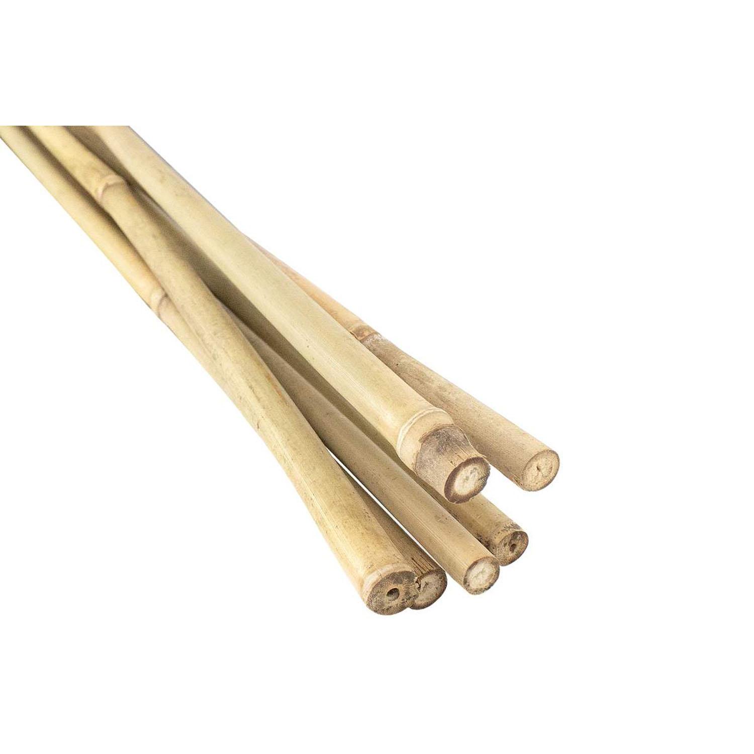 5' Natural "Bamboo" Stake-6/Pack