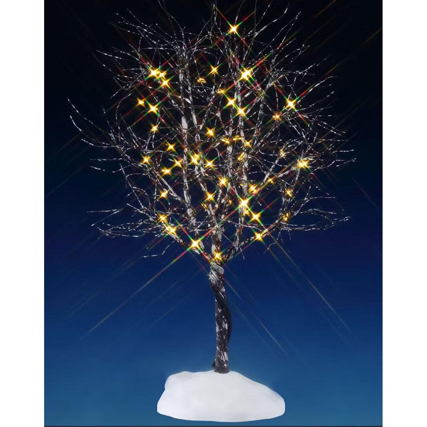Arbre Butternut avec Lumière Claire