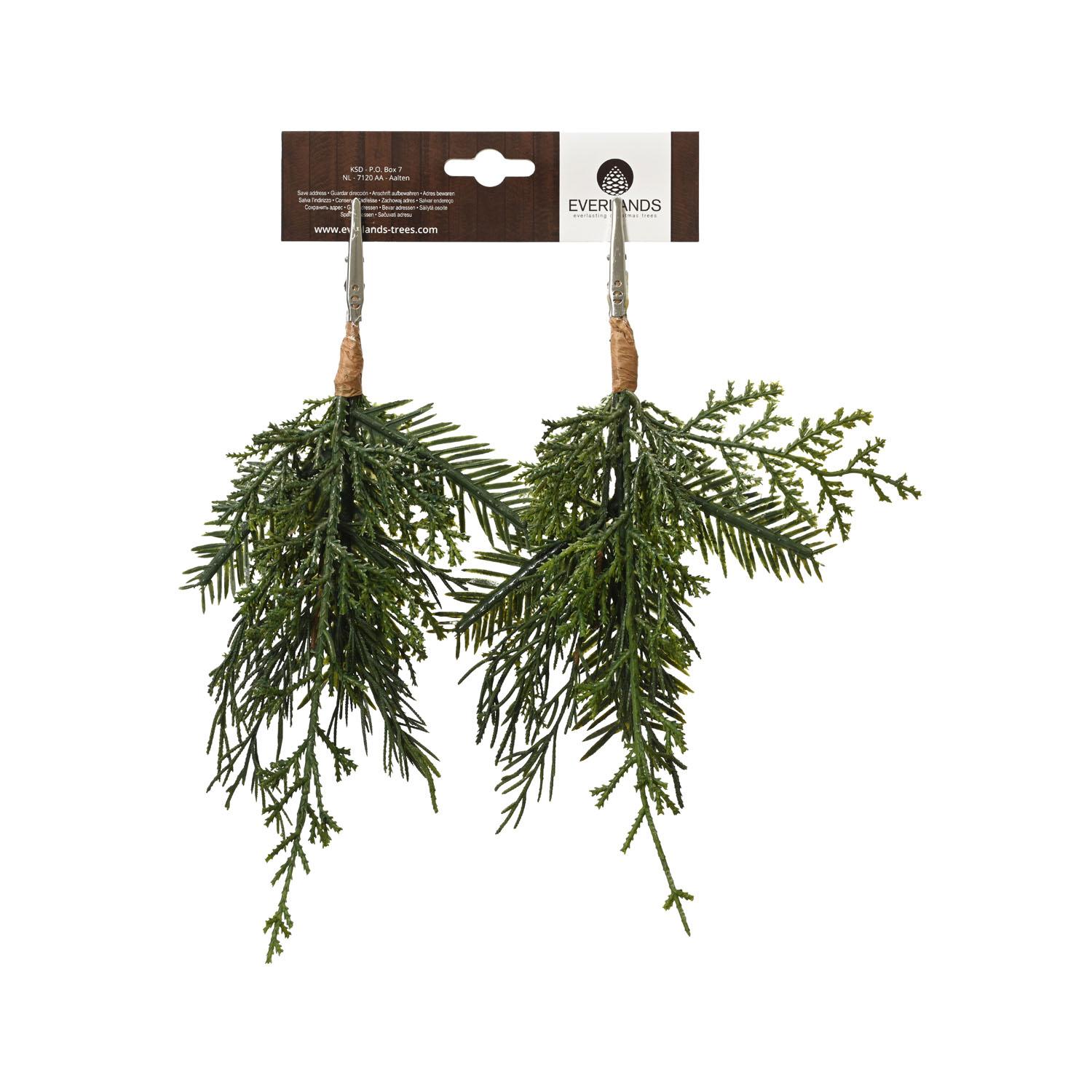 Pick Juniper 9" 2pk