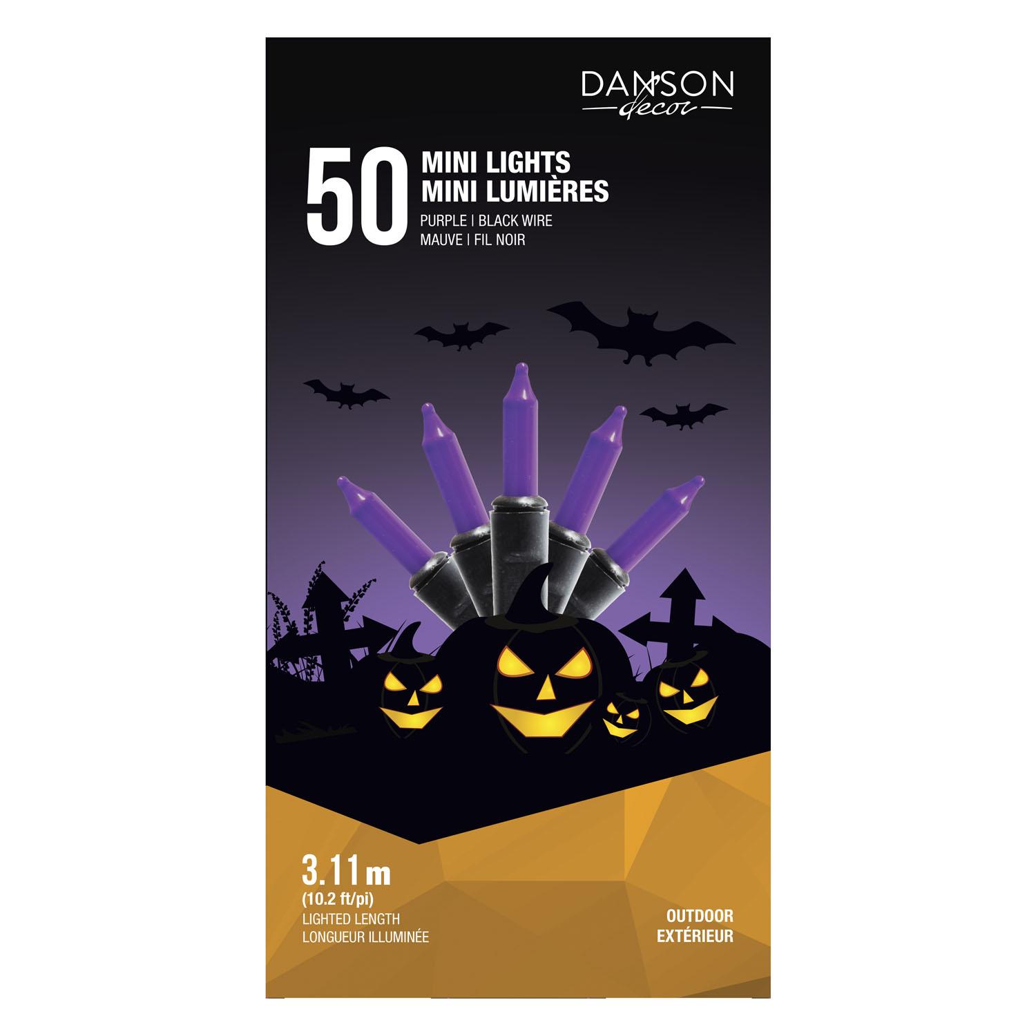 Outdoor Mini Lights with 50 Lights