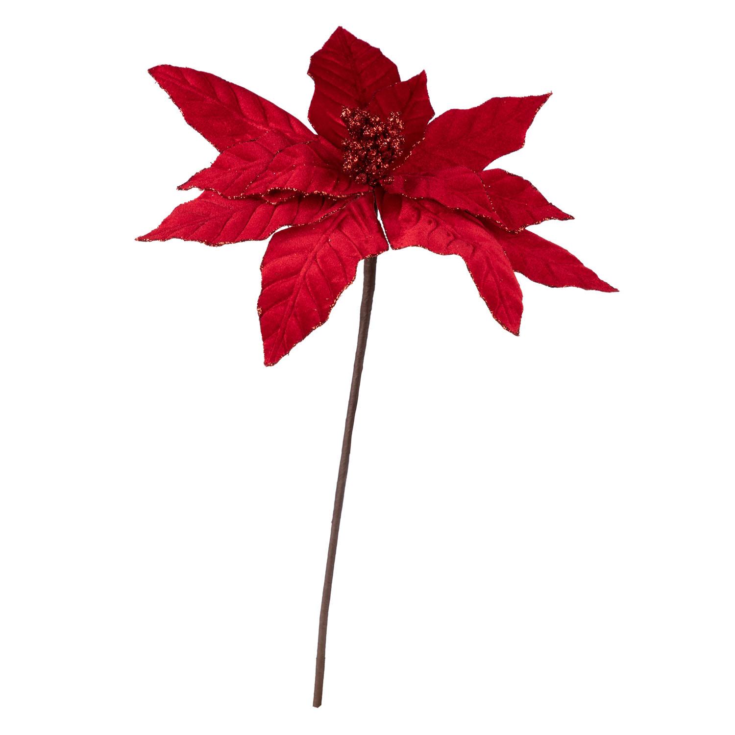 Stem Poinsettia