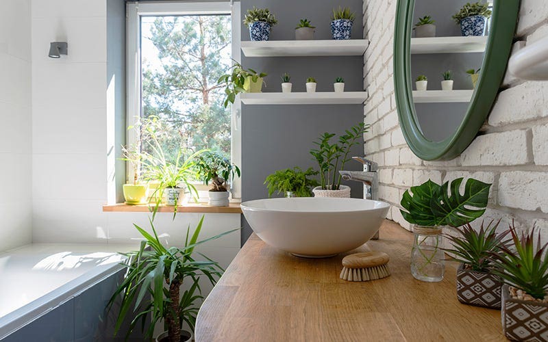 A serene bathroom scene with a sink, a bathtub, and vibrant plants growing on the wall, creating a calming atmosphere.