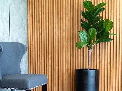 Artificial Plants Image