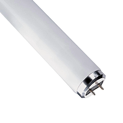 Ampoules fluorescentes Image