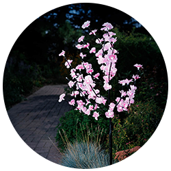 Outdoor Landscape Lighting