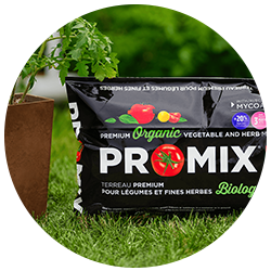 Soil & Soil Enhancers