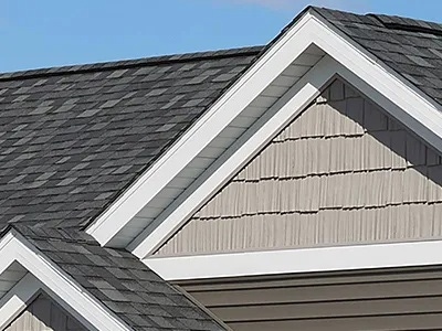Shingles Image